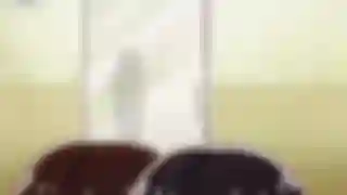 Araiya-san!: Ore to Aitsu ga Onnayu de!? 2