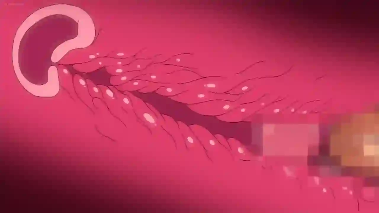 Oni Chichi Harem 3 - Hentai VOSTFR Streaming